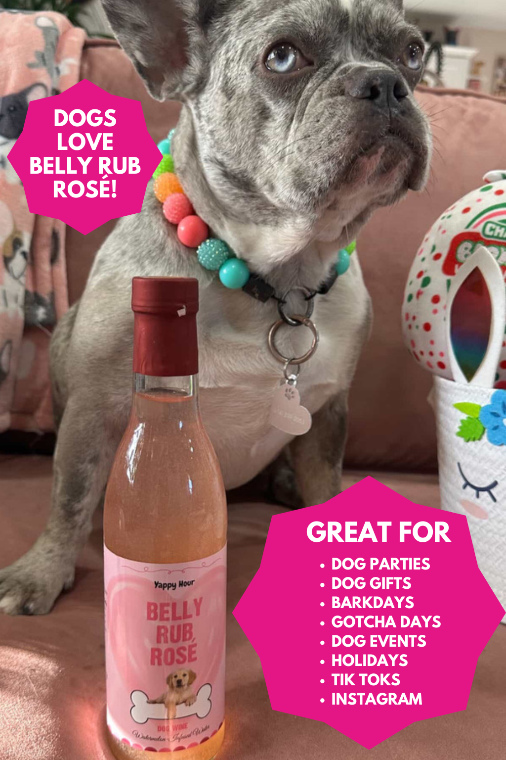 The Dog Wine Bundle | 3ct