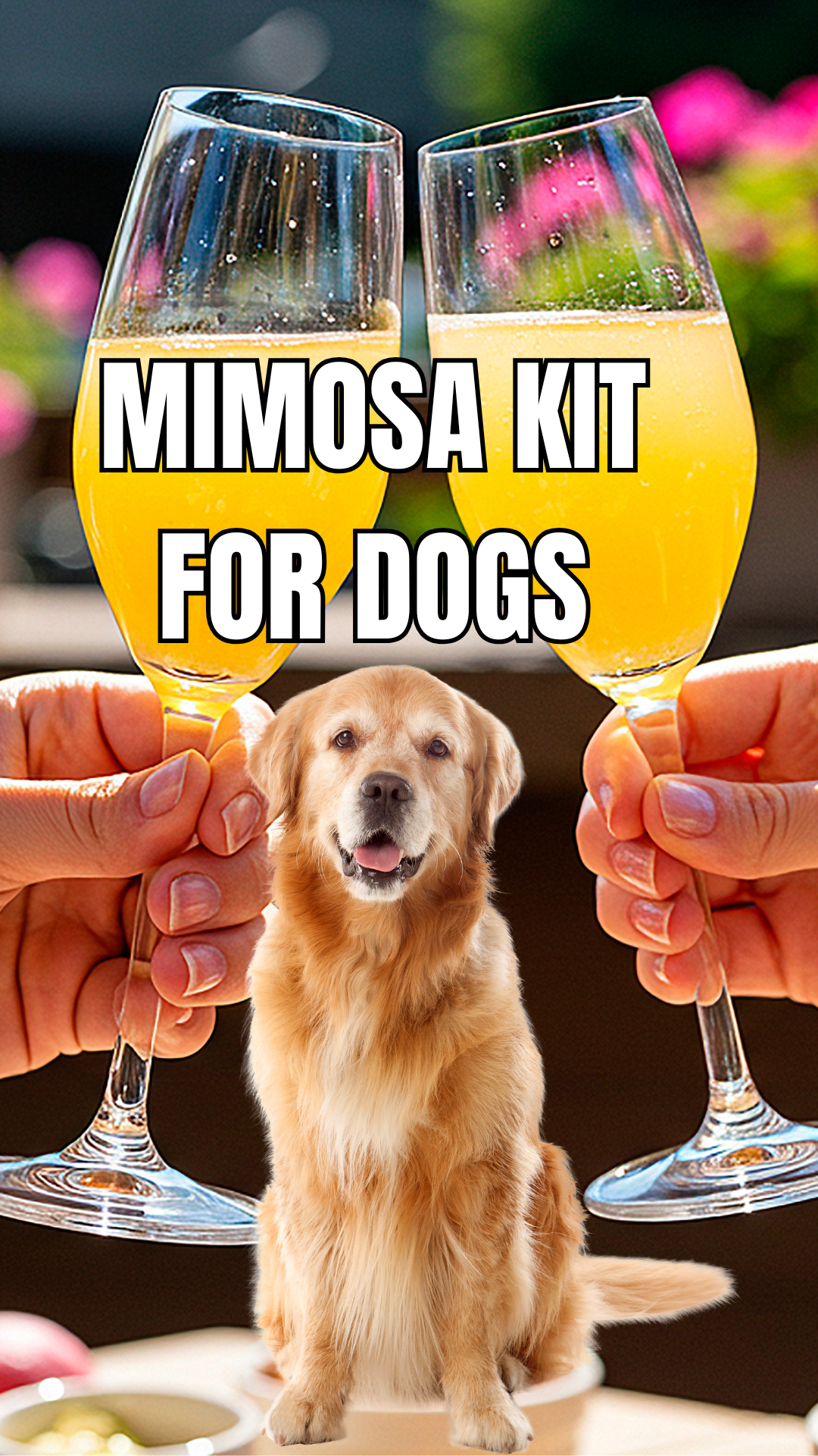 Mimosa Kit for Dogs