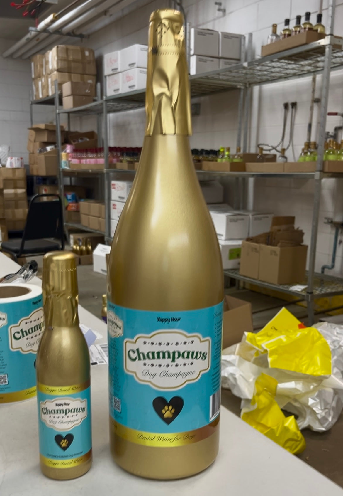 Champaws Dog Champagne