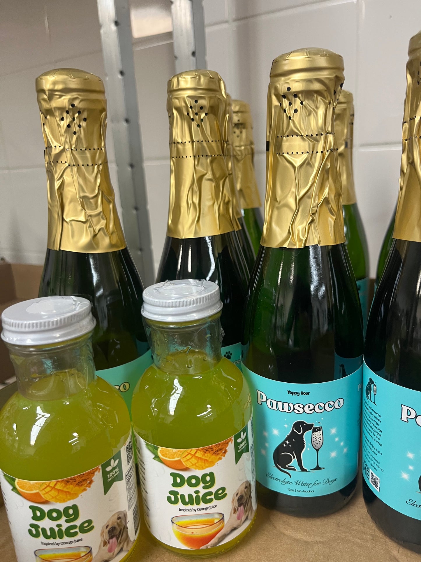 Mimosa Kit for Dogs