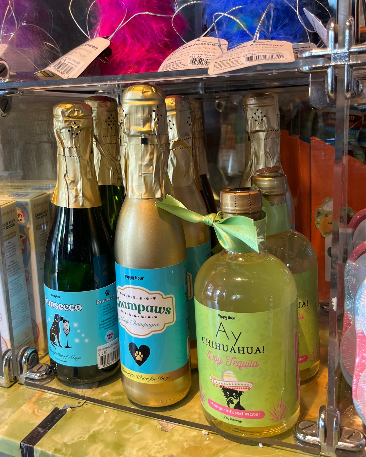 Champaws Dog Champagne