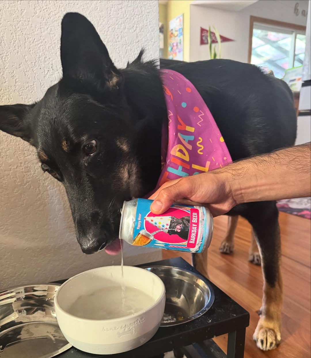 Barkday Dog Beer | 4ct