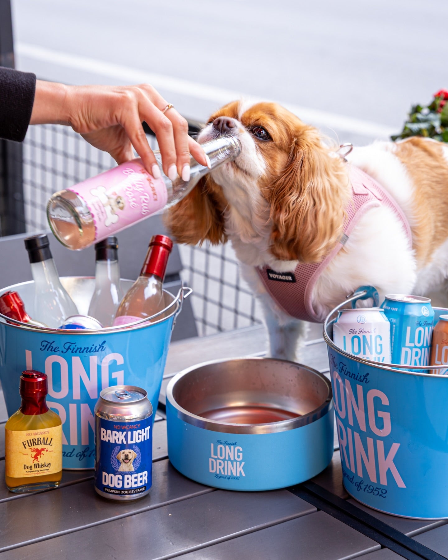 Belly Rub Rosé Dog Wine