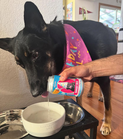 Dog Birthday Booze Bundle