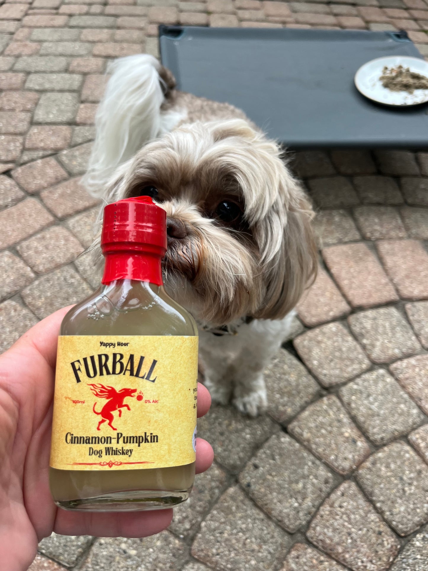 Furball Dog Whiskey Miniatures 4ct