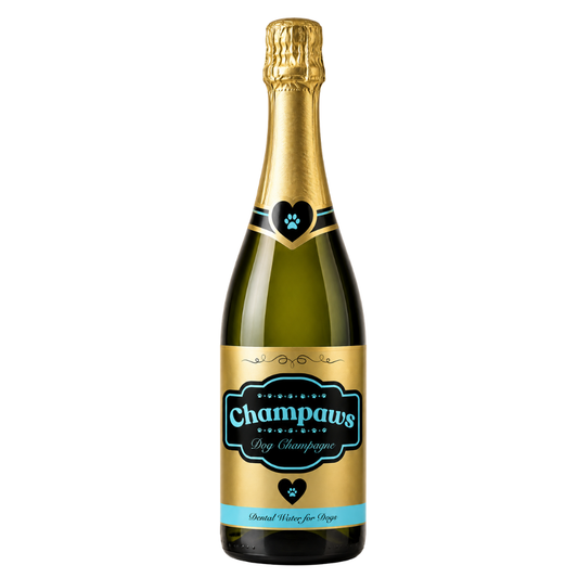 Champaws Dog Champagne