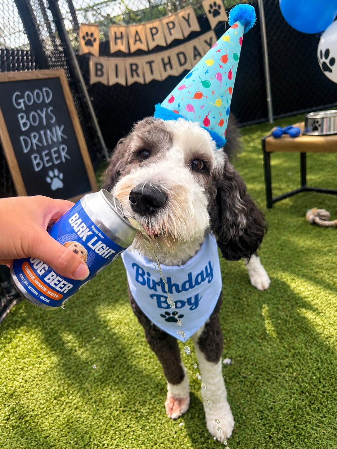 Ultimate Dog Party Bundle