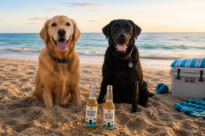 Beach Bark Dog Beer | 4ct