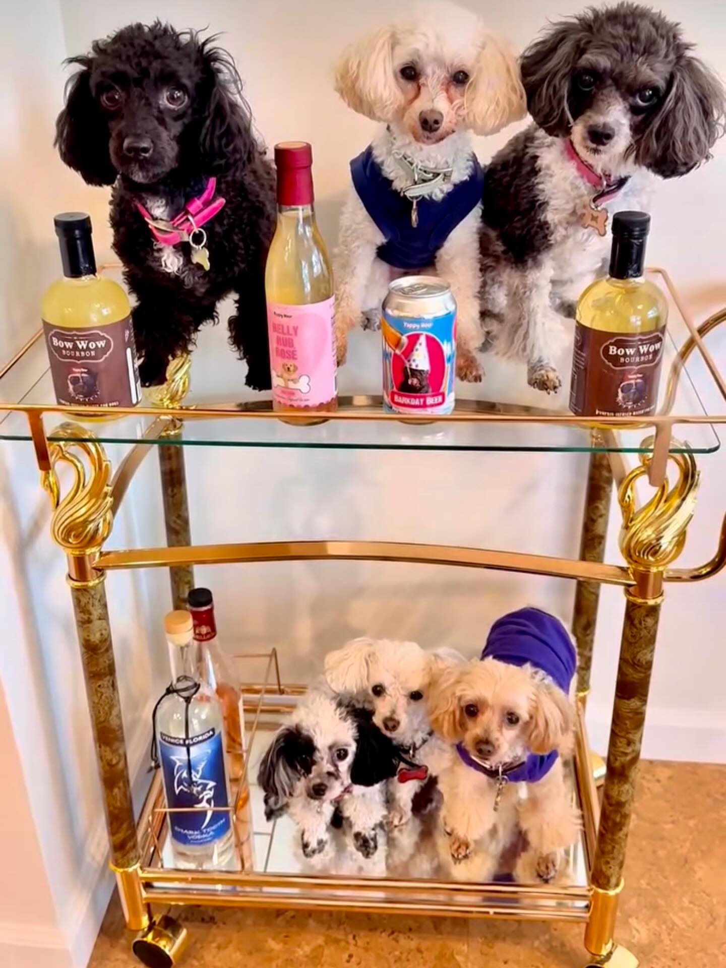 Bow Wow Bourbon